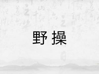 野操 野操