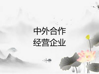 中外合作经营企业