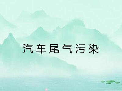 汽车尾气污染 汽车尾气污染