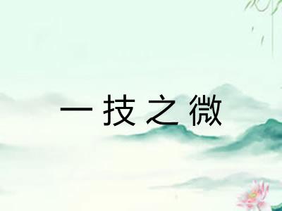 一技之微 一技之微