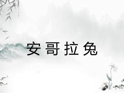 安哥拉兔 安哥拉兔