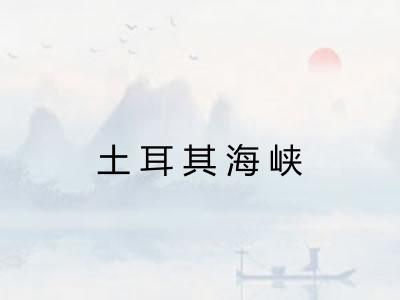 土耳其海峡 土耳其海峡