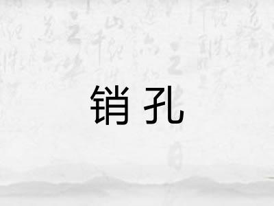 销孔 销孔