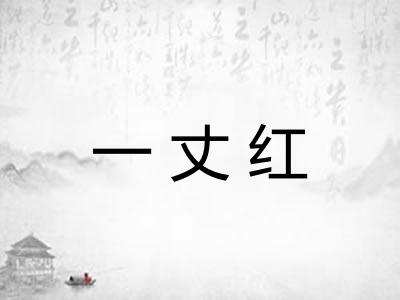 一丈红 一丈红