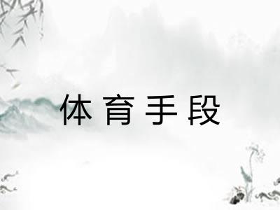 体育手段 体育手段