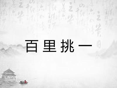 百里挑一
