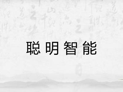 聪明智能
