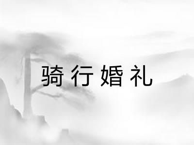 骑行婚礼 骑行婚礼