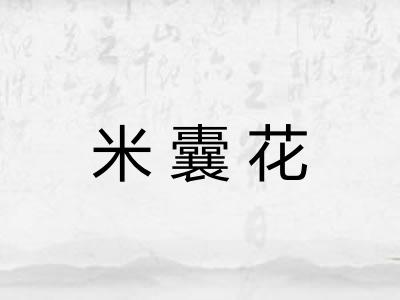 米囊花 米囊花