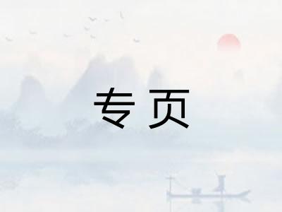 专页