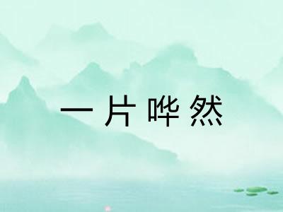 一片哗然 一片哗然