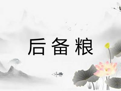 后备粮 后备粮