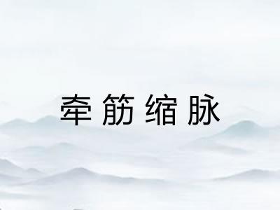 牵筋缩脉 牵筋缩脉