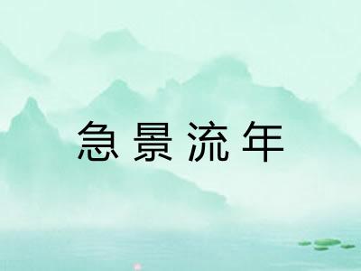 急景流年 急景流年