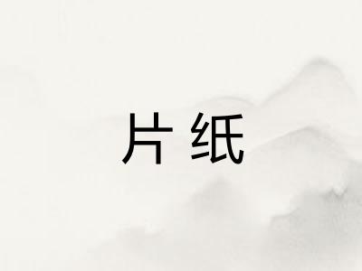 片纸