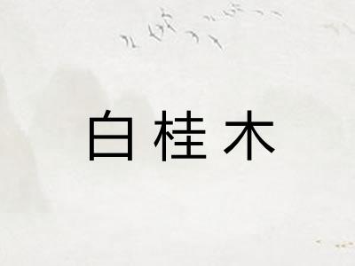 白桂木 白桂木
