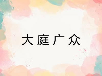 大庭广众 大庭广众