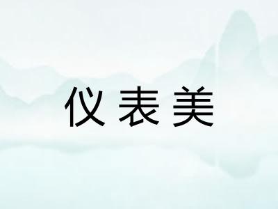 仪表美