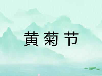 黄菊节