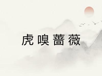 虎嗅蔷薇 虎嗅蔷薇