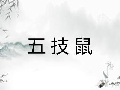 五技鼠