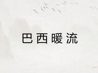 巴西暖流 巴西暖流