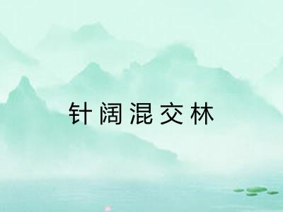 针阔混交林 针阔混交林