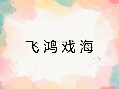 飞鸿戏海 飞鸿戏海