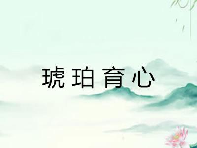 琥珀育心 琥珀育心