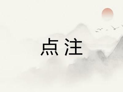 点注 点注