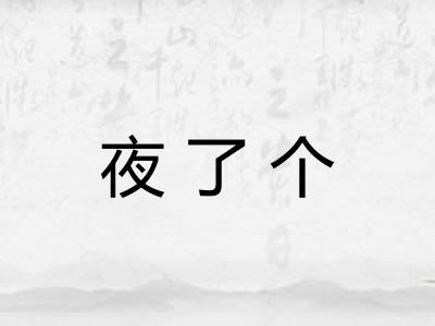 夜了个