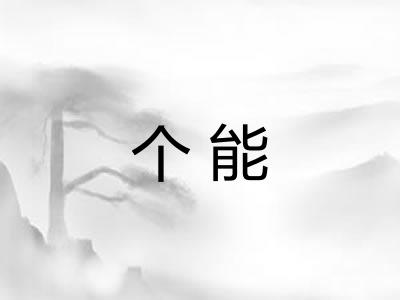 个能