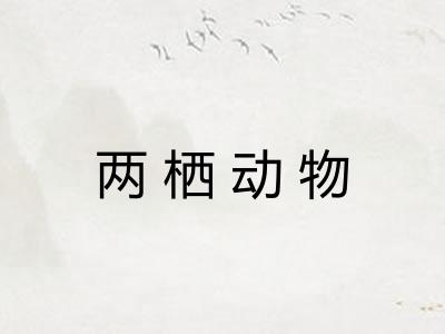 两栖动物 两栖动物