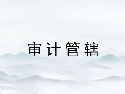 审计管辖 审计管辖