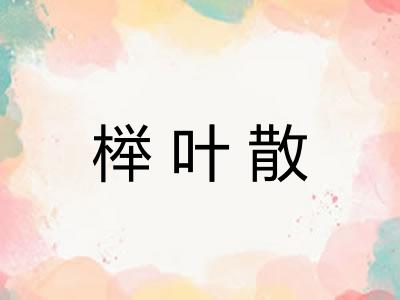 榉叶散 榉叶散
