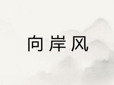 向岸风
