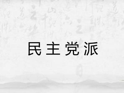 民主党派 民主党派