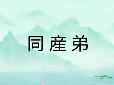同産弟 同産弟