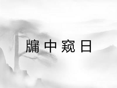 牖中窥日