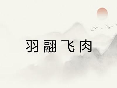羽翮飞肉 羽翮飞肉