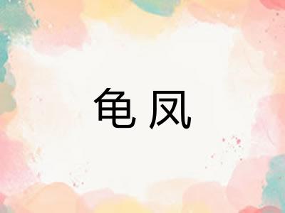 龟凤 龟凤