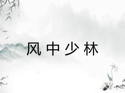 风中少林