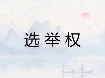 选举权
