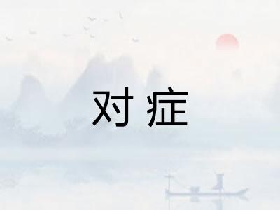 对症