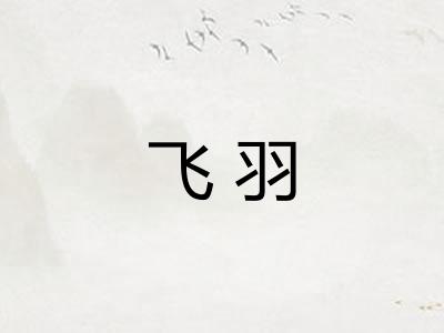飞羽