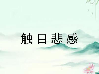 触目悲感 触目悲感