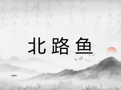北路鱼 北路鱼