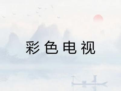 彩色电视 彩色电视