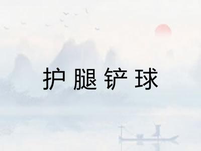 护腿铲球 护腿铲球