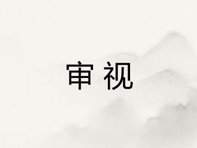 审视